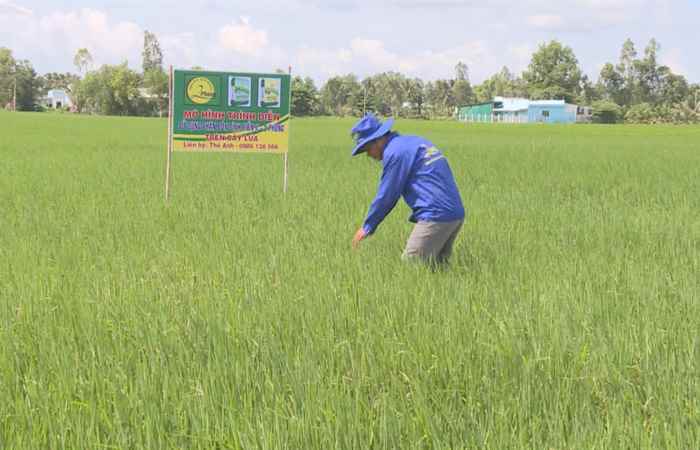 Chuyên mục 2 Phong  (30-10-2020)